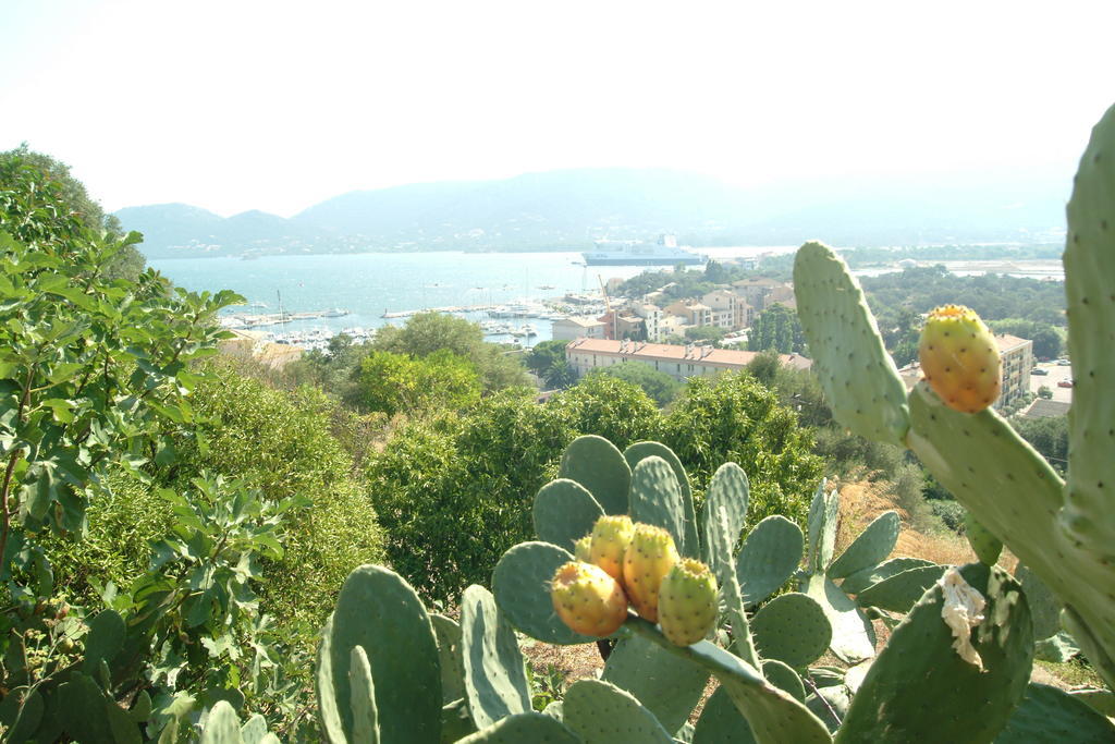 Terracorse Βίλα Figari  Εξωτερικό φωτογραφία
