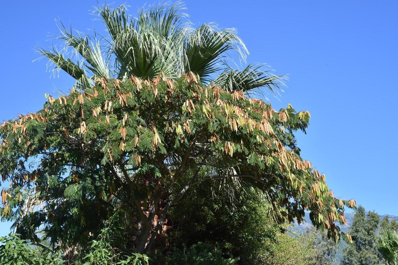 Terracorse Βίλα Figari  Εξωτερικό φωτογραφία